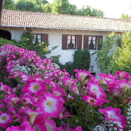Agriturismo Cassinazza Orsenigo エクステリア 写真