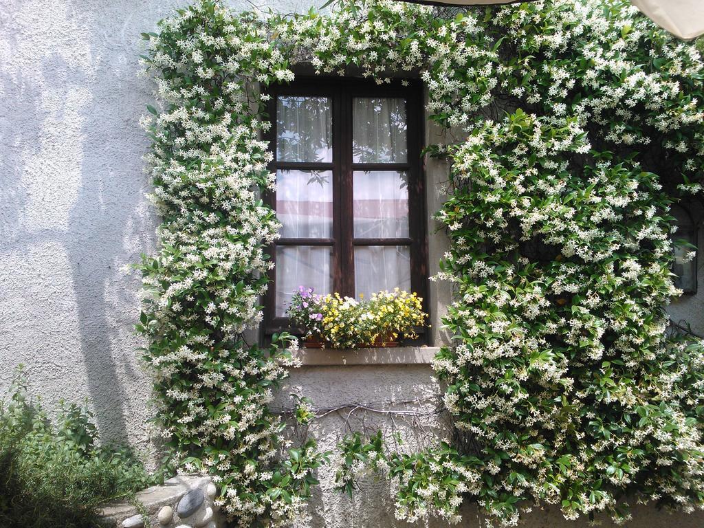 Agriturismo Cassinazza Orsenigo 部屋 写真