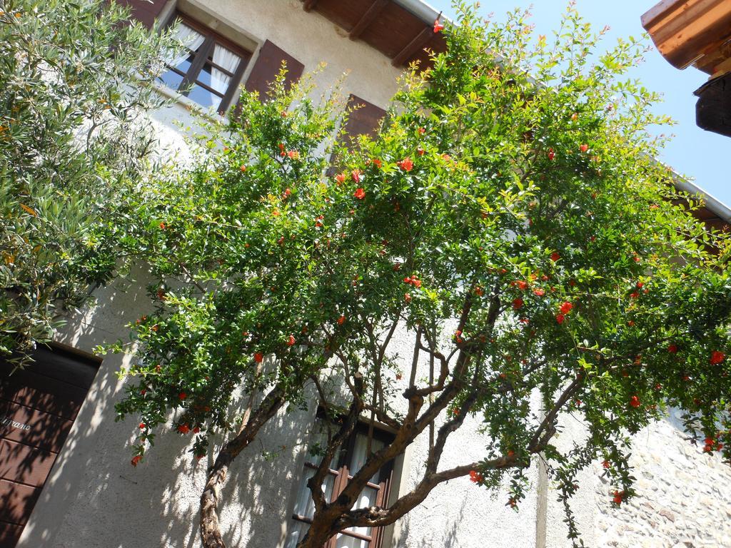 Agriturismo Cassinazza Orsenigo エクステリア 写真