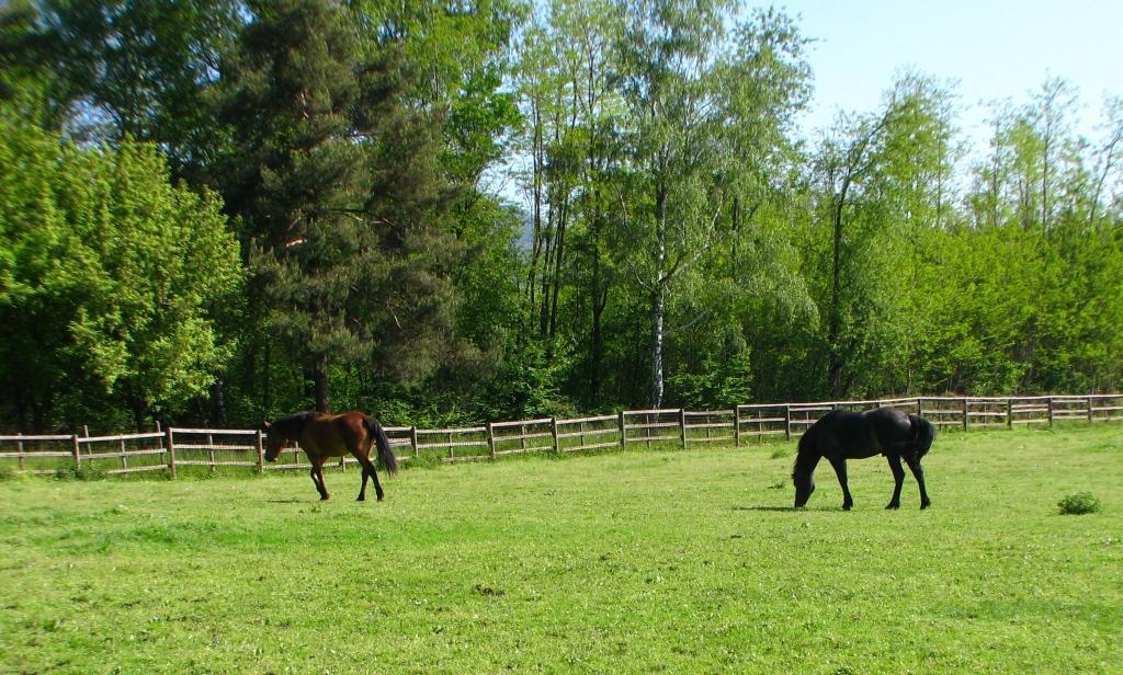 Agriturismo Cassinazza Orsenigo エクステリア 写真