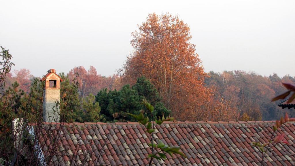 Agriturismo Cassinazza Orsenigo エクステリア 写真